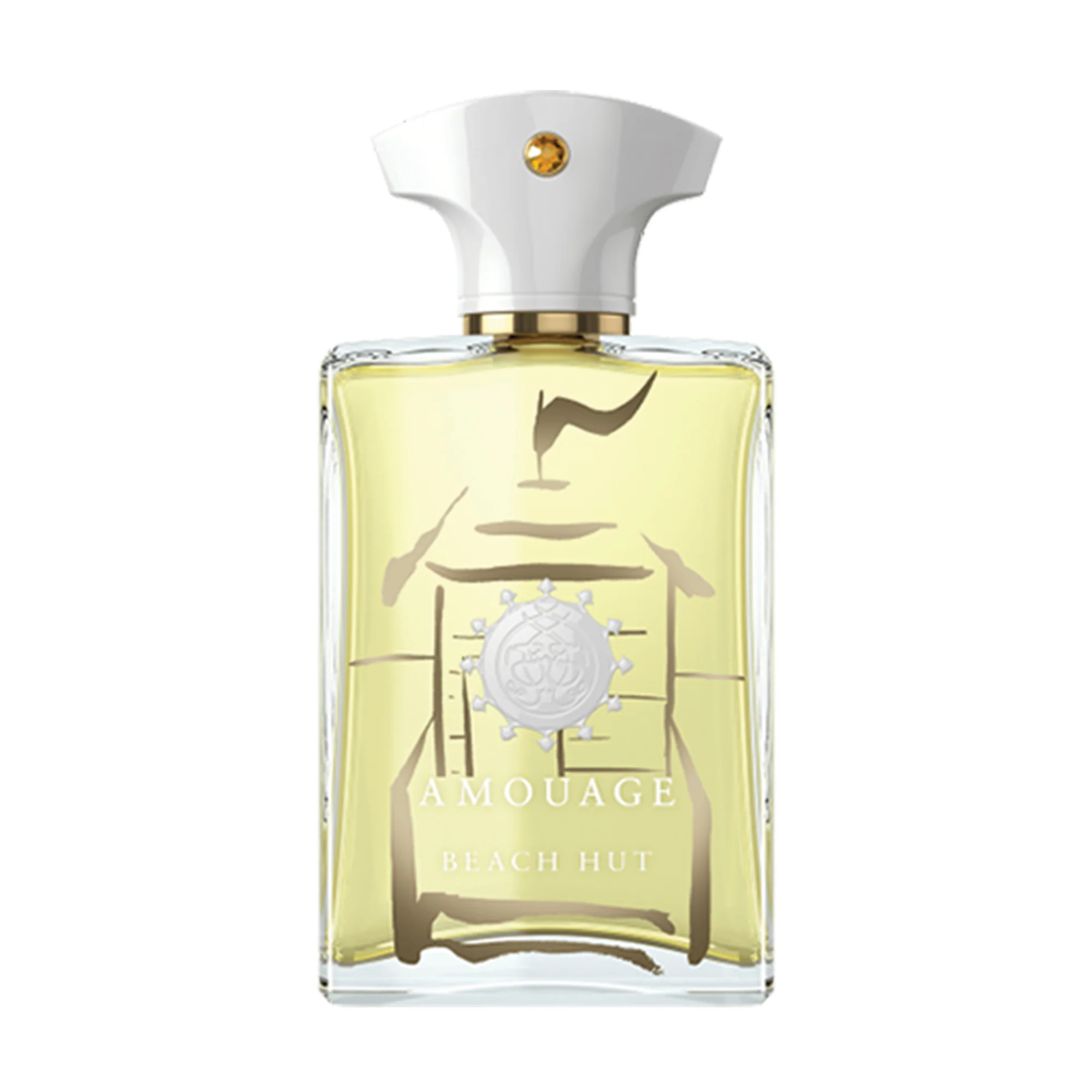 Amouage Beach Hut parfumovaná voda pánska 100 ml