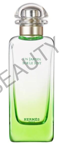 Hermès Un Jardin Sur Le Toit EDT U 100 ml Tester
