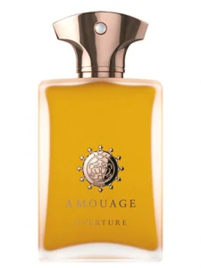 Amouage Overture parfumovaná voda pánska 100 ml