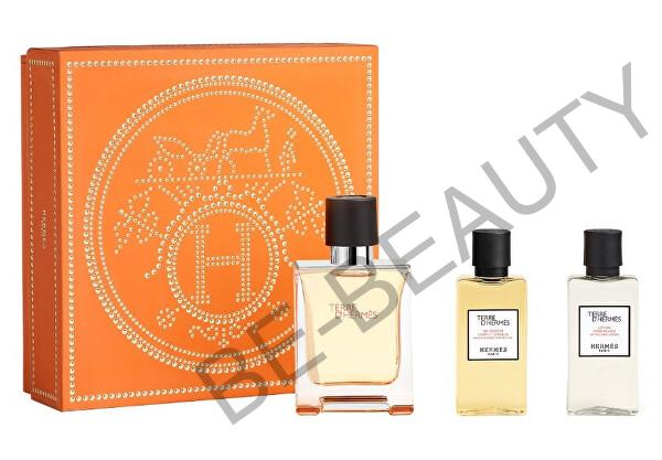 Hermes Terre D Hermes EDT 50 ml + sprchový gél 40 ml + voda po holení 40 ml darčeková sada
