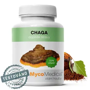 Natural Medicaments Chaga 500 mg 90 kapsúl